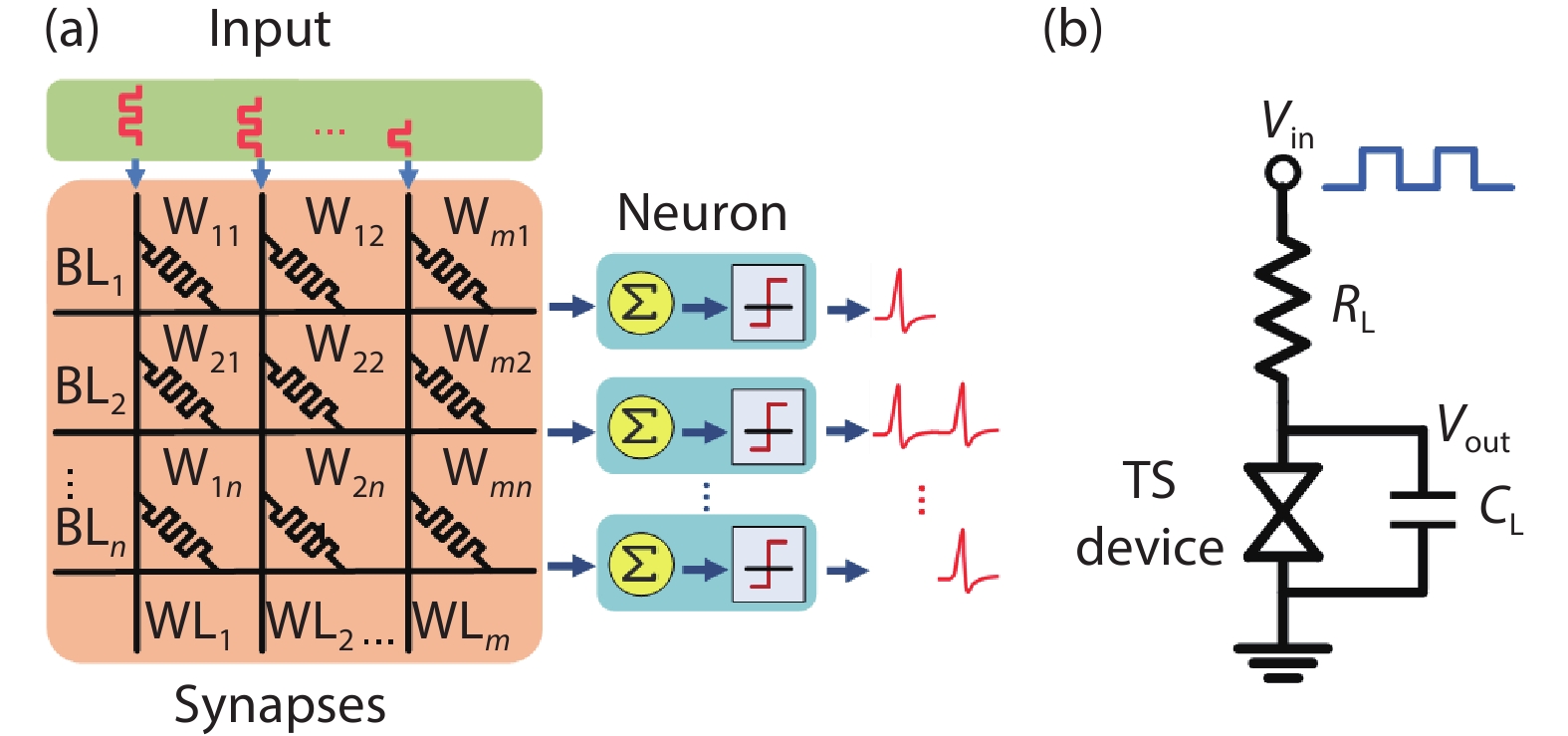 (Color online) (a) Schematic diagram of a typical artificial neural network. (b) Circuit implementation of the oscillation neuron with a TS device.