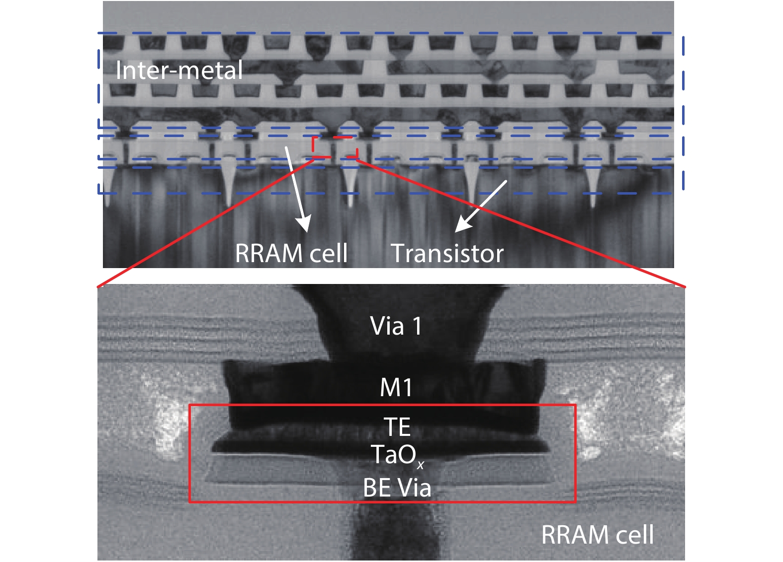 The TEM images of 1T1R RRAM cells.