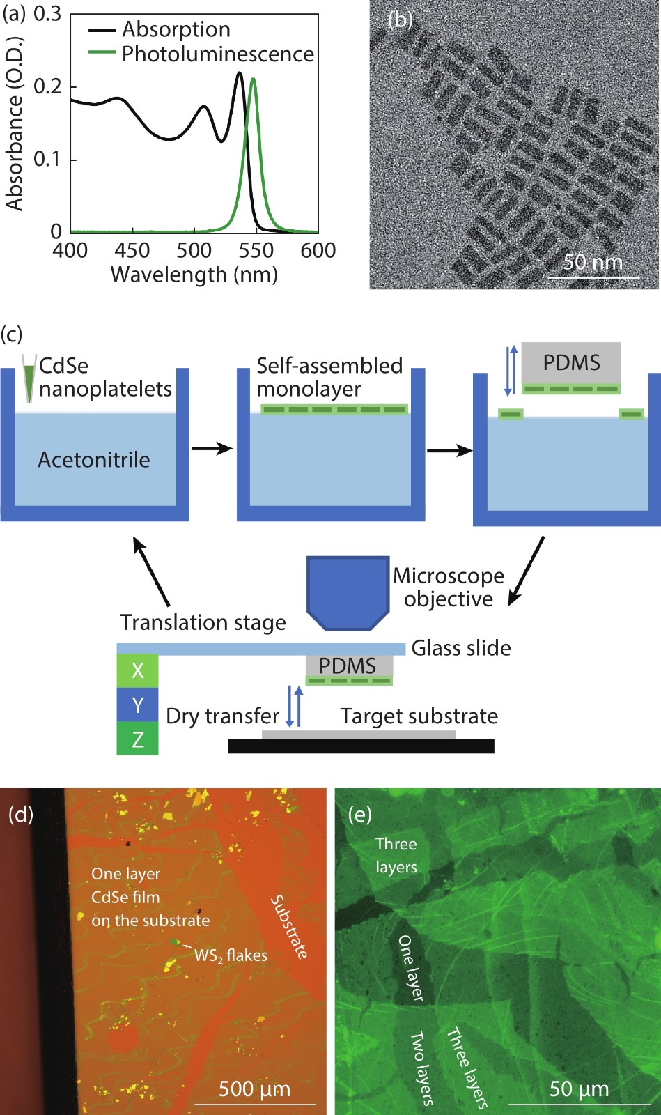 (Color online) (a) Absorption and photoluminescence spectra of the CdSe nanoplatelets. (b) Transmission electron microscopy (TEM) image of the nanoplatelets. (c) Schematic of PDMS assisted transferring method. (d) A bright-field microscopy image of a single layer of the CdSe nanoplatelet film on a SiO2/Si substrate with WS2 flakes. (e) Photoluminescence microscopy image of CdSe films with one, two and three layers of nanoplatelets.