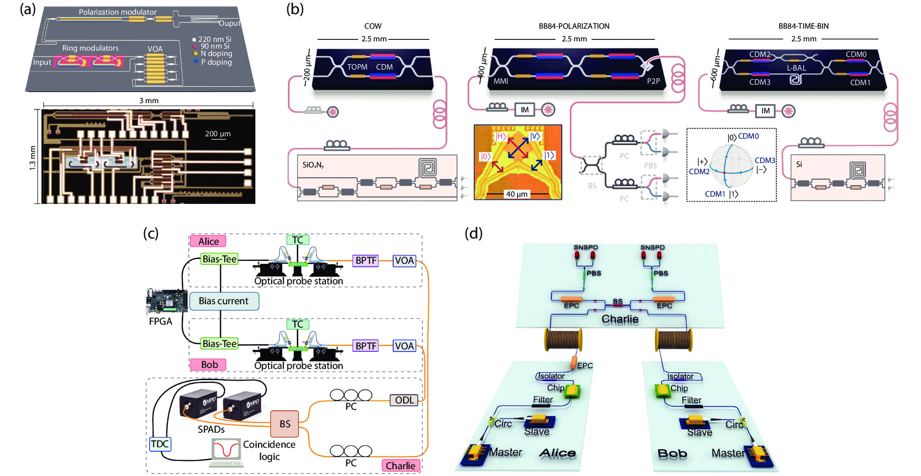 (Color online) Integrated silicon photonic QKD transmitters. (a) Polarization-encoding PM-QKD transmitter, consisting of ring modulators, VOAs, and polarization modulators[12]. (b) Three implementations of high-speed QKD[11]. (c) HOM interference between WCPs generated by III–V on silicon waveguide integrated lasers[22]. (d) Polarization-encoding MDI-QKD with integrated silicon photonics[24].