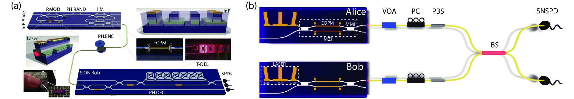 (Color online) Integrated InP photonic QKD transmitters. (a) A chip-to-chip QKD system between a 2 × 6 mm2 InP transmitter and a 2 × 32 mm2 SiOxNy receiver[16]. (b) An implementation of MDI-QKD using two 6 × 2 mm2 InP transmitter chips in which two weak coherent states are on-chip generated independently[25].