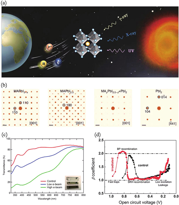 (Color online) (a) Perovskite solar cells in space suffer various radiations. (b) Simulated electron diffraction patterns showing the structural evolution of MAPbI3 under e-beam irradiation. Reproduced with permission[2], Copyright 2018, Springer Nature. (c) Transmittance spectra for glass substrates after e-beam irradiation. Reproduced with permission[3], Copyright 2020, American Chemical Society. (d)β coefficientvsVoc curves. Reproduced with permission[7], Copyright 2017, Wiley.