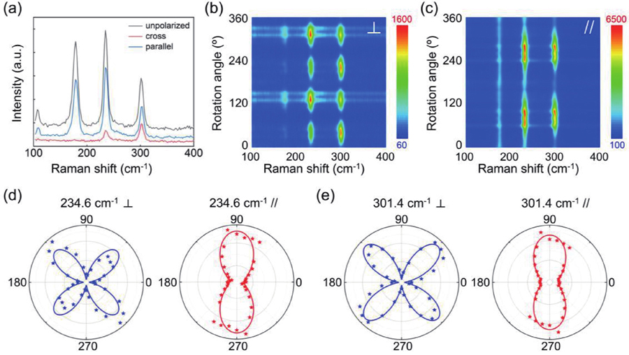 (Color online) (a) Raman spectra under unpolarized and polarized laser (532 nm). (b) Counter maps of angle-resolved Raman spectra under cross configuration. (c) Counter maps of angle-resolved Raman spectra under parallel configuration. (d) Polar plots of angle-resolved and fitted peak intensities of 234.6 cm−1. (e) Polar plots of angle-resolved and fitted peak intensities of 301.4 cm−1.
