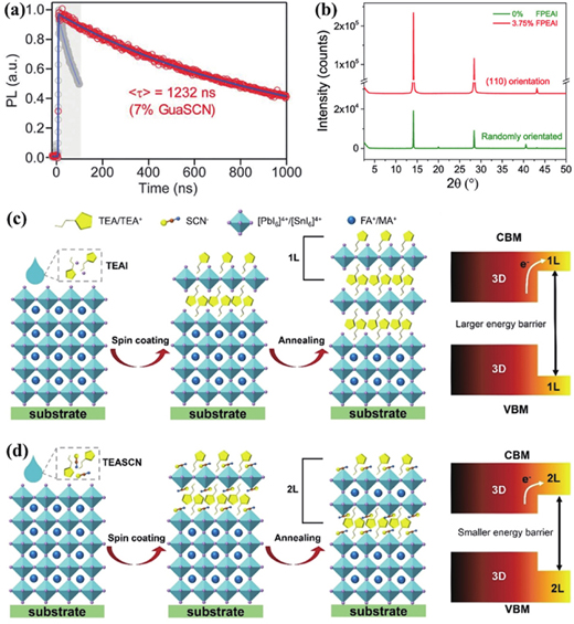 (Color online) (a) Time-resolved photoluminescence of GuaSCN-based perovskite film. Reproduced with permission[11], Copyright 2019, Science Publishing Group. (b) X-ray diffraction patterns for the perovskite films with and without FPEAI. Reproduced with permission[13], Copyright 2020, American Chemical Society. Schematics for perovskite films treated with (c) TEAI and (d) TEASCN, and the corresponding energy level diagrams. Reproduced with permission[17], Copyright 2022, Wiley-VCH.