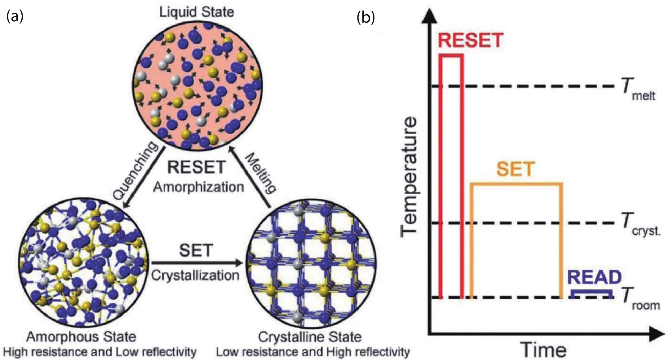 (Color online) (a) Stable phase states and the atomistic structures. (b) The phase change dynamics with RESET/SET/READ pulses. Reprinted by permission from Springer Nature Customer Service Centre GmbH: Springer Nature MRS Bulletin, Phase-change materials in electronics and photonics, Wei Zhang et al.[32], 2019.