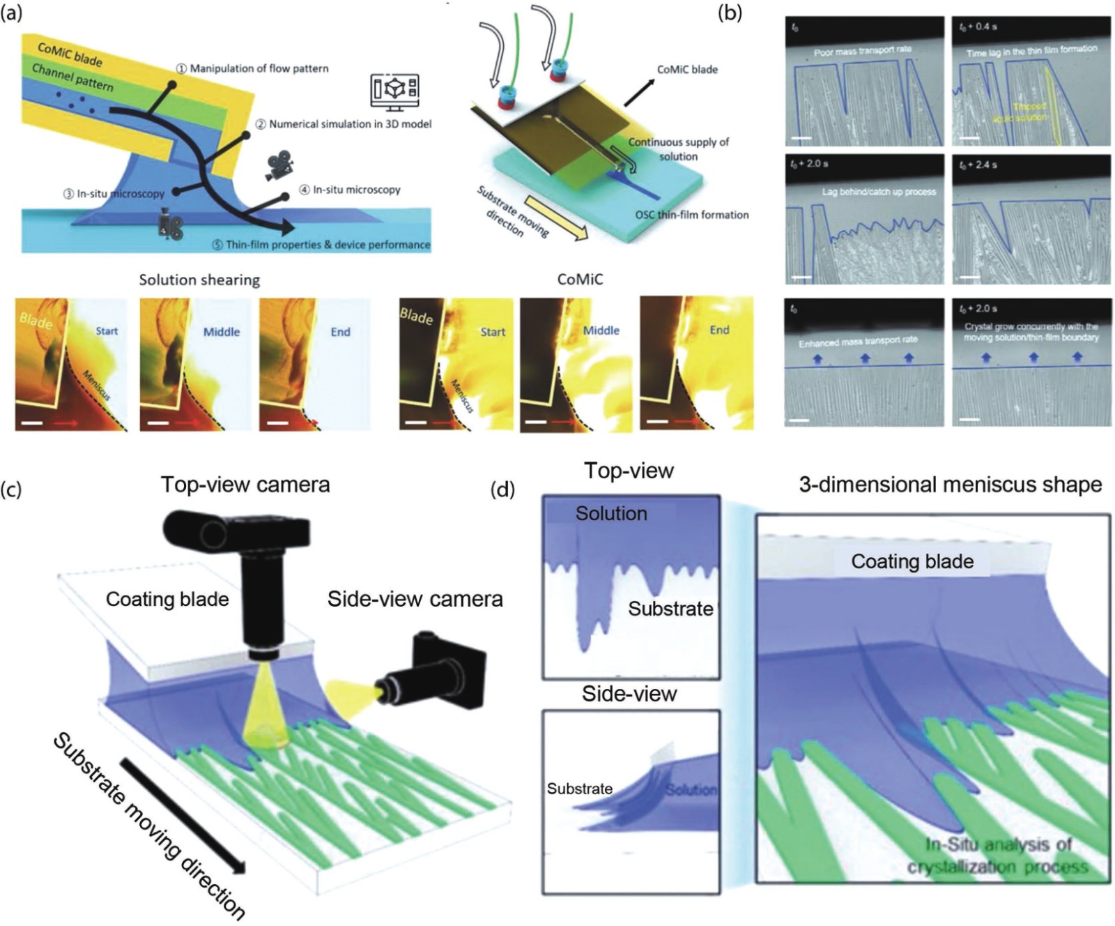 (Color online) In-situ optical microscopy for characterizations of organic crystalline films. (a) Schematic diagram of CoMiC-based analytical system along the entire flow path connecting flow pattern, crystallization, and thin-film properties (upper panel of (a)). Side-view in-situ image analysis of meniscus shape variation during the coating (lower panel of (a)). (b) In-situ microscopy images showing the variation of solution/thin-film boundary and crystallization process of doped TIPS-pentacene using the FM-CoMiC and the SHM-CoMiC[22]. (c) Schematic diagram of top-view and side-view in-situ microscopy to investigate the relationship between 3D meniscus geometry and crystallization during solution shearing. (d) The top-, side-, and 3D-view microscopies for the visualization of the contact line/crystallization process and cross-sectional meniscus shape[34].