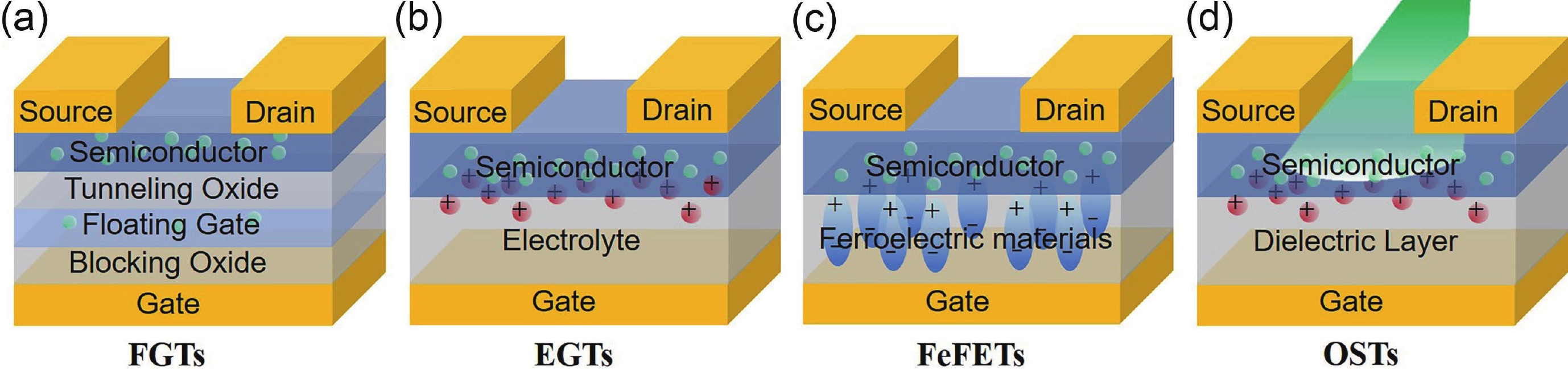 (Color online) The types of three-terminal synaptic transistors. (a) Floating-gate transistors. (b) Electrolyte-gate transistors. (c) Ferroelectric field-effect transistors. (d) Optoelectronic synaptic transistors.