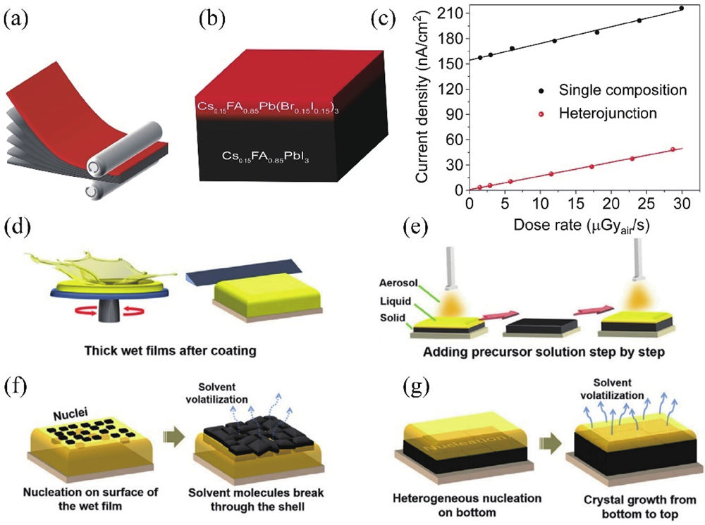 (Color online) (a) The lamination technique. (b) Heterojunction perovskite film. (c) Response of single-composition and heterojunction perovskite detectors. Reproduced with permission[27], Copyright 2021, AAAS. (d) Wet film fabrication by spin-coating or blade-coating. (e) The ALS method. (f) The nucleation and growth process in (d). (g) Nucleation and growth process in ALS method. Reproduced with permission[30], Copyright 2021, Elsevier.