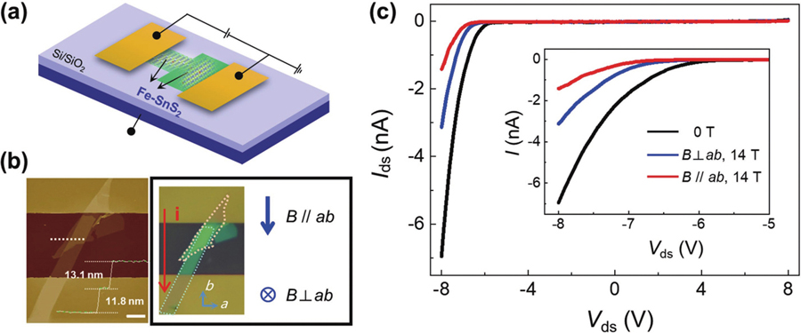 (Color online) (a) Schematic diagram of Fe-SnS2 homojunction device. (b) AFM image of a typical device. On the right-hand is the corresponding optical microscope image, and the relative direction of the applied magnetic field is marked. The scale is 5μm. (c)I–Vds curves at zero magnetic field, 14 T vertical magnetic field and 14 T parallel magnetic field. The inset is an enlarged view of the conduction part.