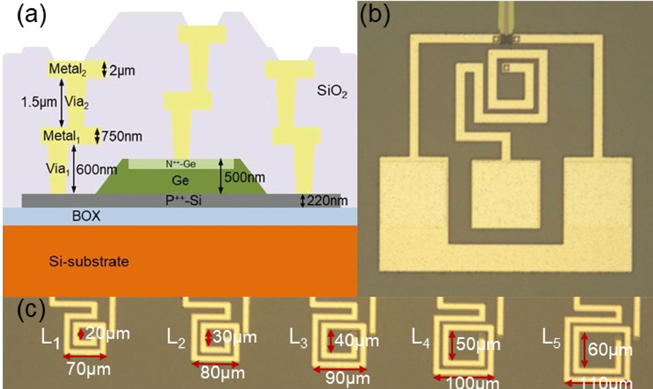 (Color online) (a) Cross section of the Ge waveguide photodetector. (b) Microscopic image of the device. (c) Microscopic image of the standalone inductors (L1, L2, L3, L4, and L5).
