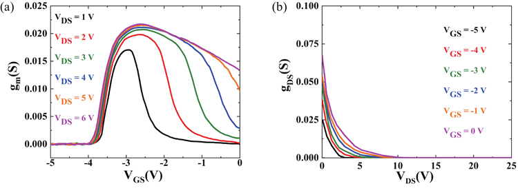 (Color online) GaN HEMT: (a) transconductance gm(VGS) curves. (b) Channel transconductance gDS(VDS) curves.