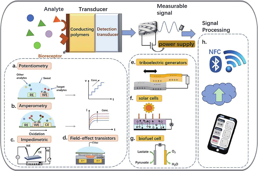 (Color online) Schematic diagram of electrochemical biosensor system. A typical electrochemical biosensor includes identification module, sensor module, signal processing, transmission module, and power supply module.