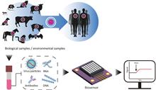 Application and prospect of semiconductor biosensors in detection of viral zoonoses