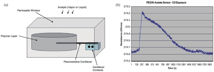 (Color online) (a) Schematic diagram of EPM sensor and (b) EPM sensor response to CO.