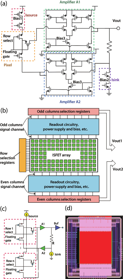(Color online) Circuits and layout design of the chip. (a) The basic readout circuit of a unit. (b) Circuit diagram of the array. Although the odd and even columns are geometrically crossed and closed to each other, they are logically separated. The signals of the odd and even columns are sent to Vout1 and Vout2 terminals through the upper and lower electrical channels, respectively. (c) Pixels and readout circuit design of one column. (d) A top view of the chip layout.