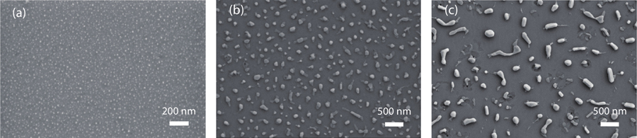 SEM images of the self-assembled Ni nano-masks using (a) 1 nm, (b) 3 nm, and (c) 5 nm deposited Ni film.