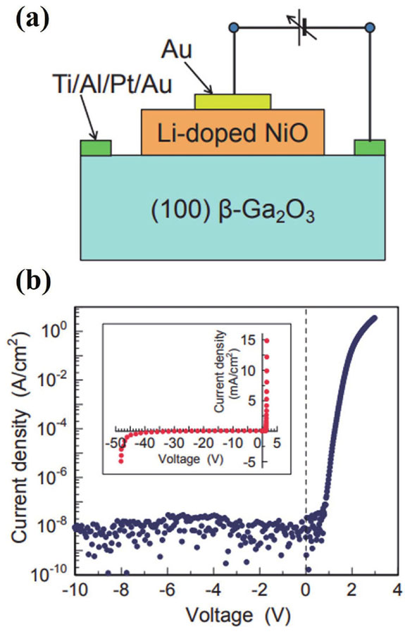 (Color online) (a) Device schematic and (b) I–V characteristics of the sol-gel NiO/β-Ga2O3 heterojunction diode. Reproduced from Ref. [26]. Copyright 2016, The Japan Society of Applied Physics.