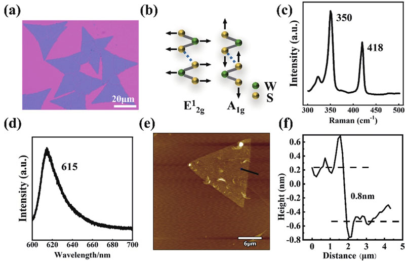 (Color online) The characterization of monolayer WS2. (a) Optical image of a monolayer WS2. (b) Schematics of Raman modes of E2g1 and A1g. (c) Raman spectra of monolayer WS2 sample. (d) PL spectra of monolayer WS2 sample. (e) AFM image of monolayer WS2 sample. (f) Height image intensity profile along the black line in (e).
