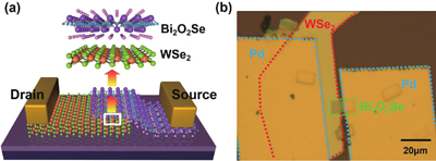 (Color online) (a) Schematic diagram of WSe2/Bi2O2Se FET. (b) Optical micrograph of the WSe2/Bi2O2Se FET.
