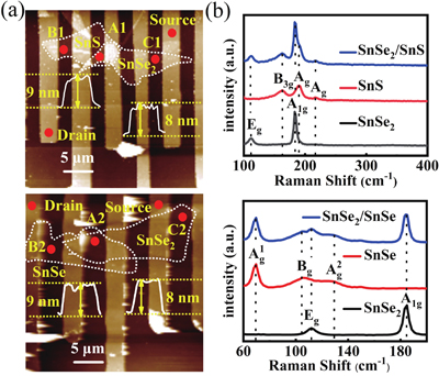 (Color online) (a) AFM results of the SnS/SnSe2 and SnSe/SnSe2 heterostructures. The insets are the corresponding height profile. (b) Raman spectra of the SnS/SnSe2 and SnSe/SnSe2 heterostructures.
