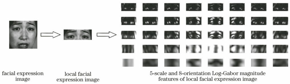 Log-Gabor magnitude features of local facial expression image