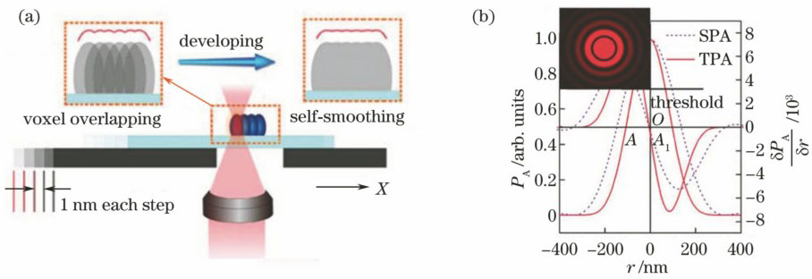 Basics of two-photon photopolymerization (TPP)[48]. (a) Schematic of TPP fabrication; (b) achievement of sub-diffraction-limit (SDL) fabrication accuracy [the absorption probabilities of single photo absorption (SPA) and TPA are denoted by dashed and solid lines, respectively; the inset is a diffraction pattern]
