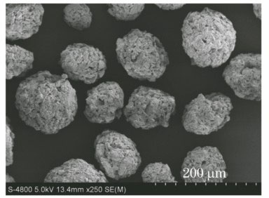 SEM image of glass powder granule