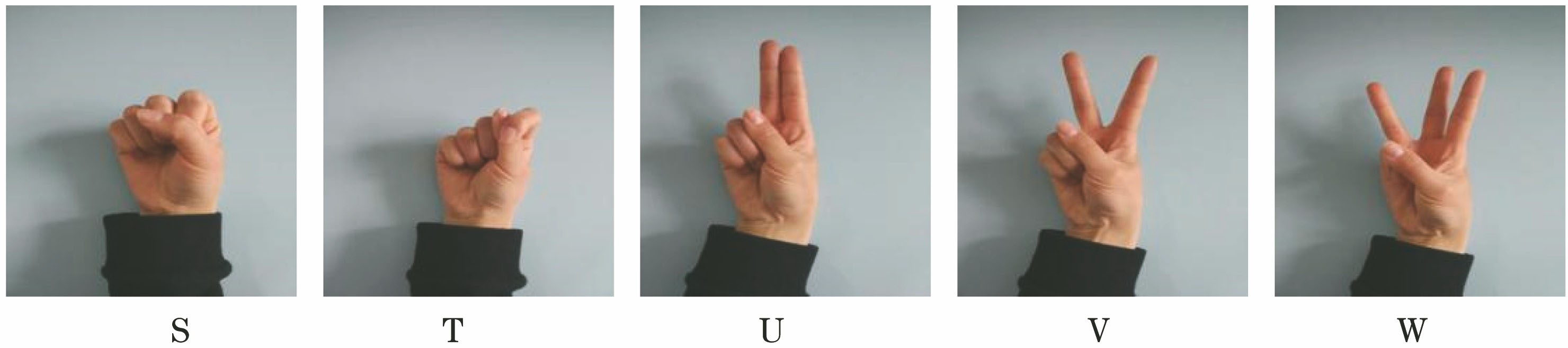Self-acquired gesture images