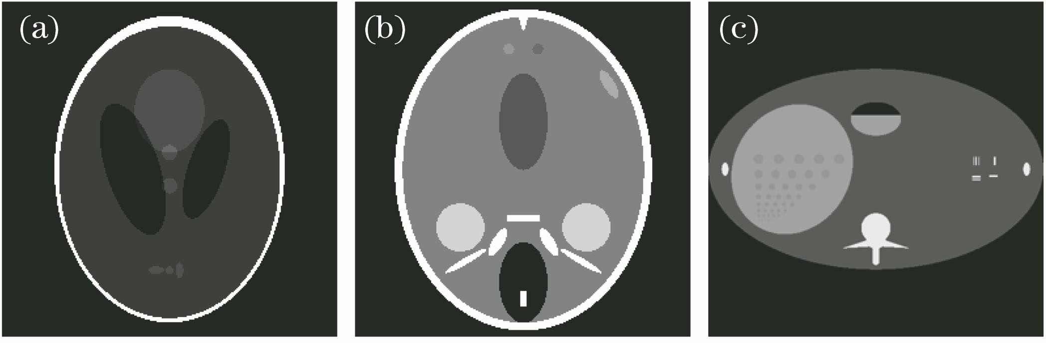 Image data used in the test. (a) Sheep-Logan image; (b) Forbild-Head image; (c) Forbild-Abdomen image