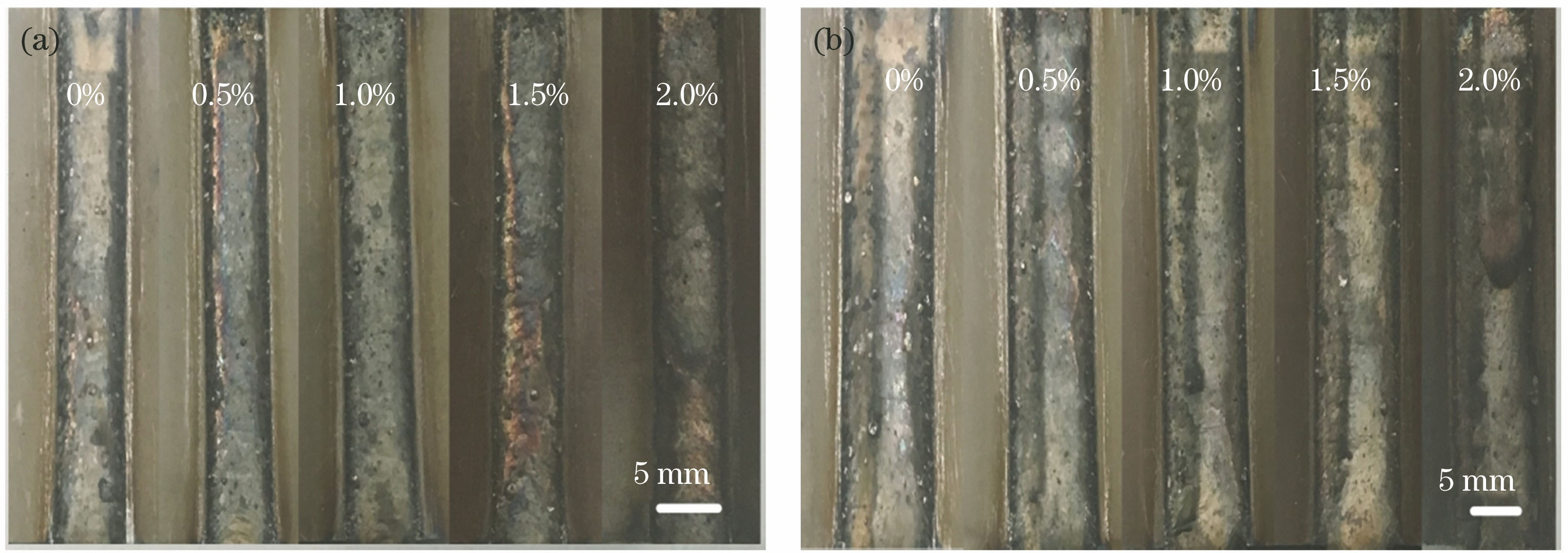Surface morphologies of coatings with different CeO2 contents. (a) Single-pass laser cladding; (b) multi-track laser lap cladding