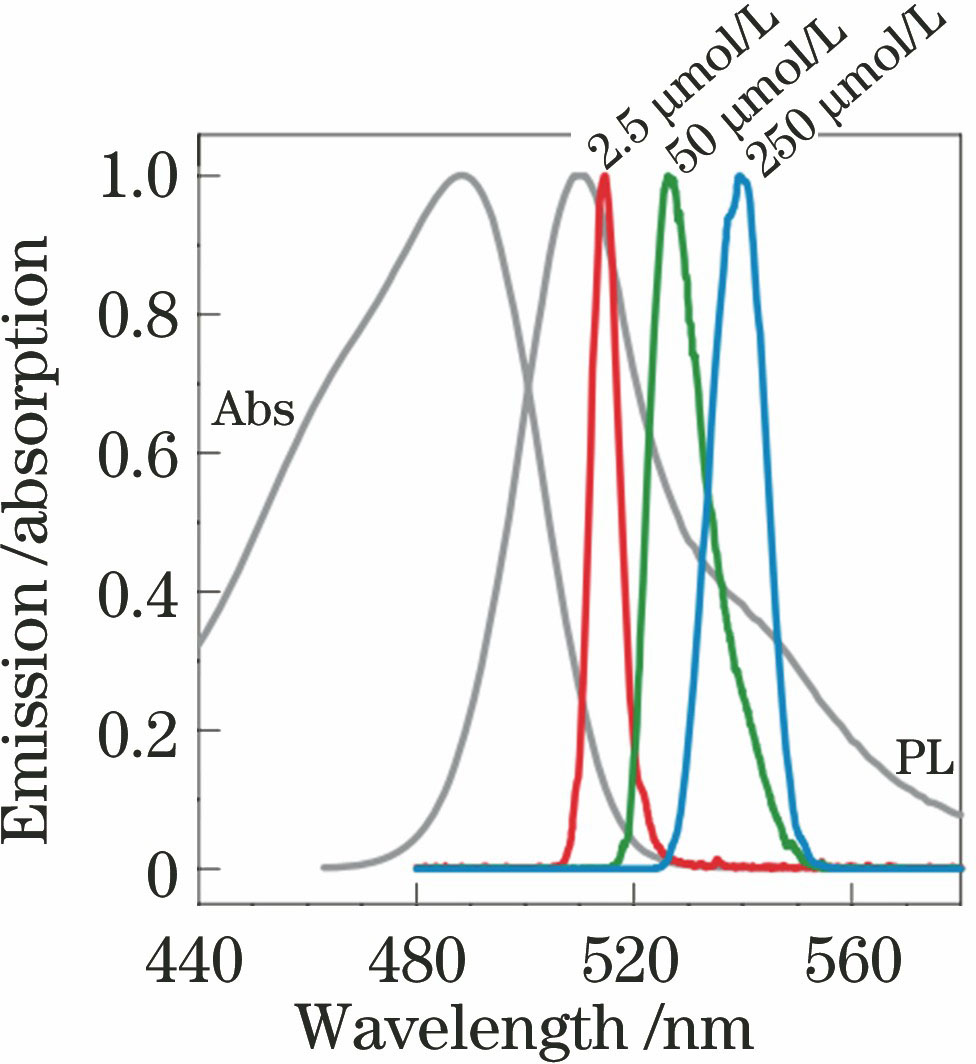 Emission and absorption spectra of GFP[17]
