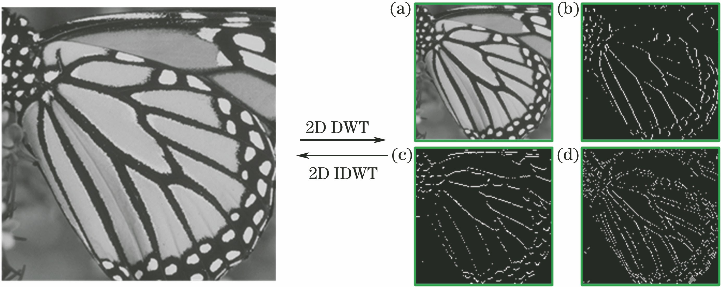 Effects of two-dimensional DWT for butterfly_GT.bmp in Set5
