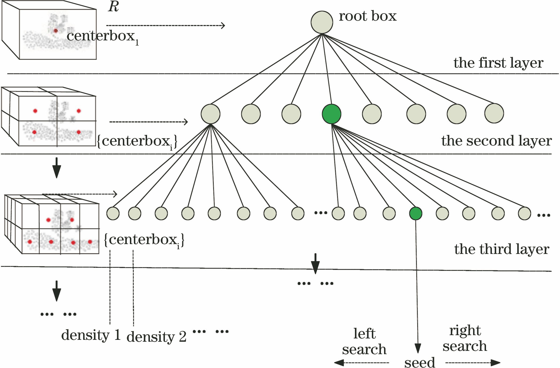Schematic of bidirectional linear octree data organization