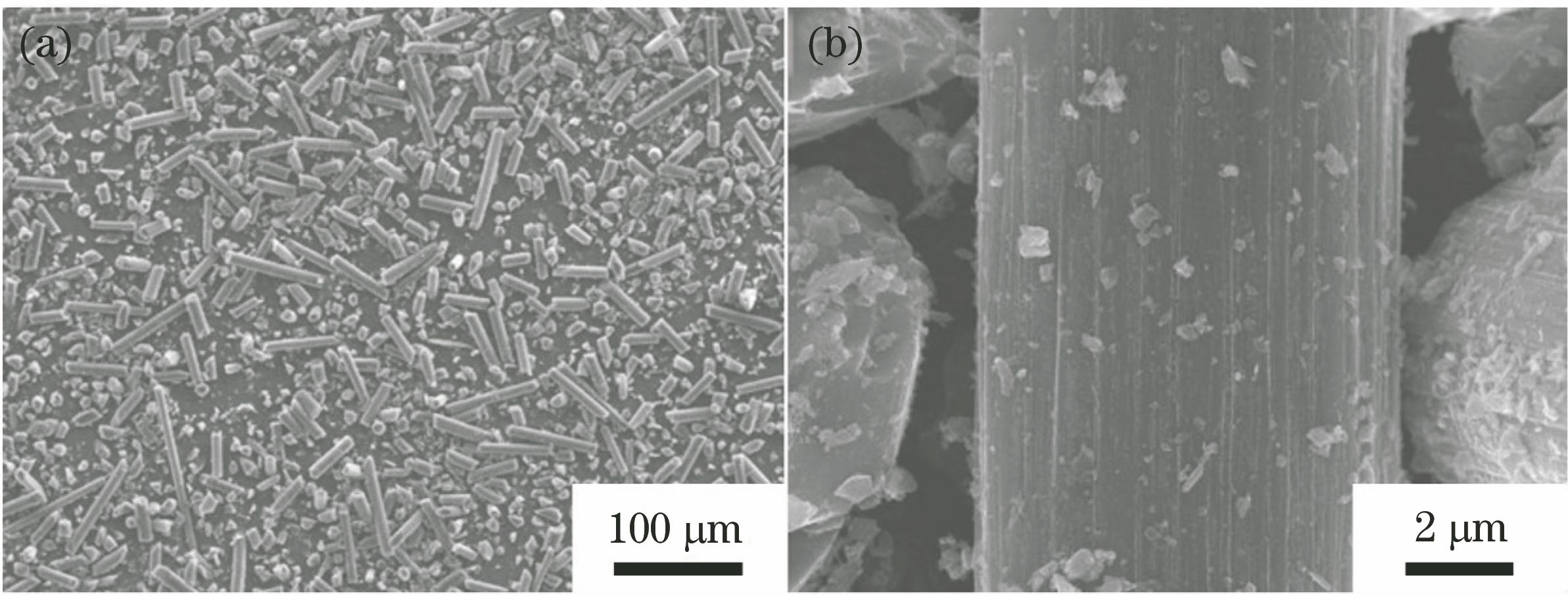 Surface micro-morphology of carbon fiber. (a) Magnification by 140; (b) magnification by 5000
