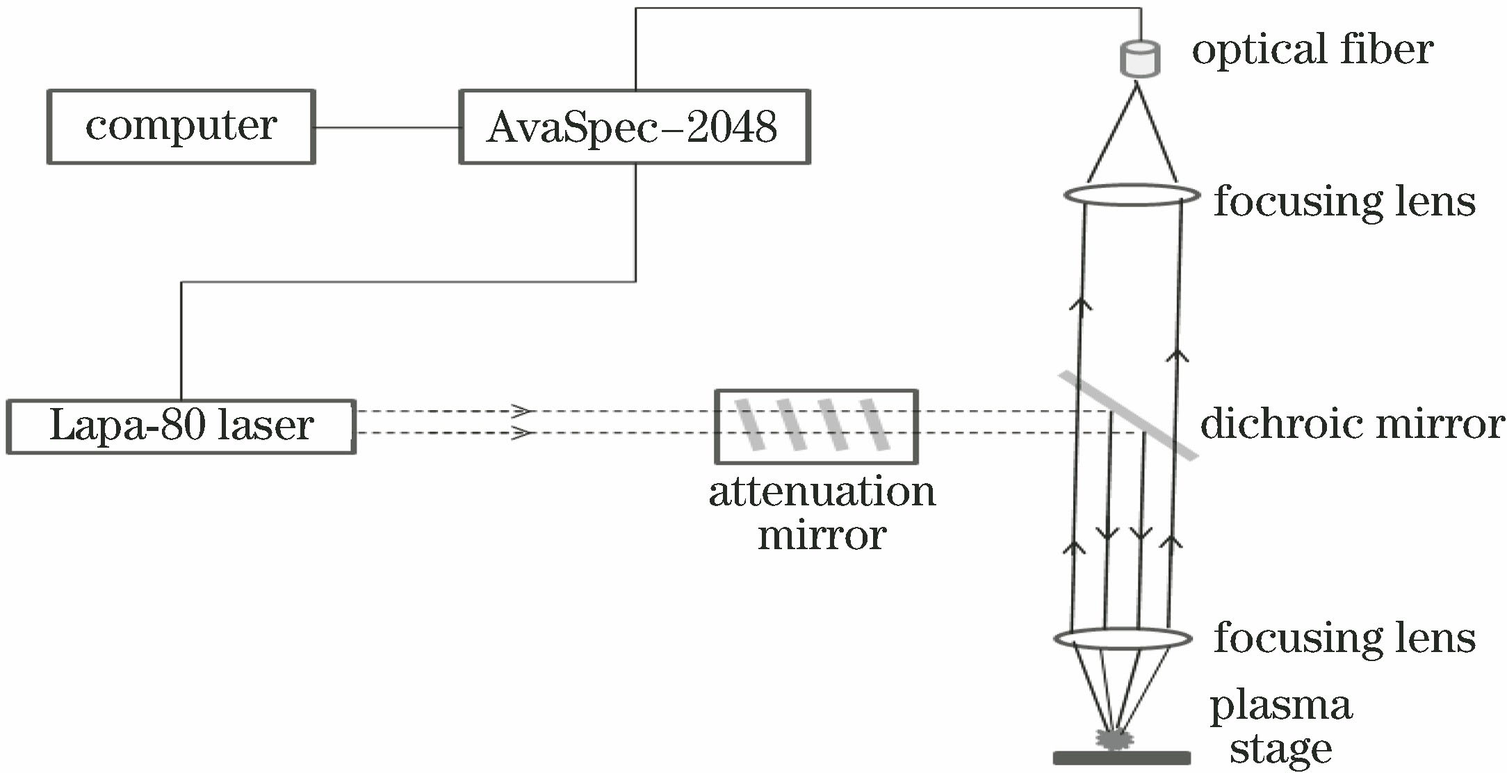 Schematic of LIBS experimental device