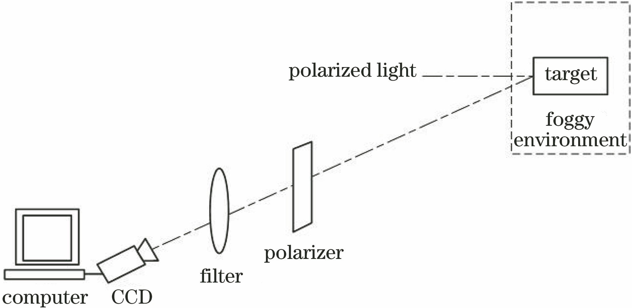 Schematic of polarization detection experiment