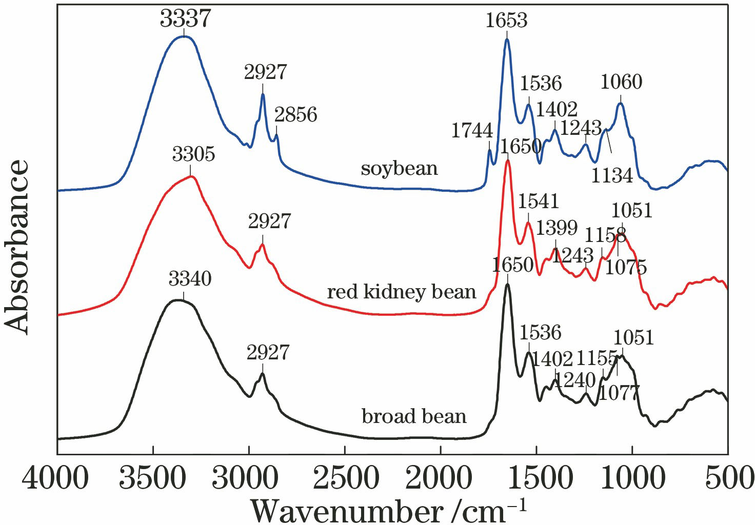 FT-IR spectra of three kinds of legume seeds