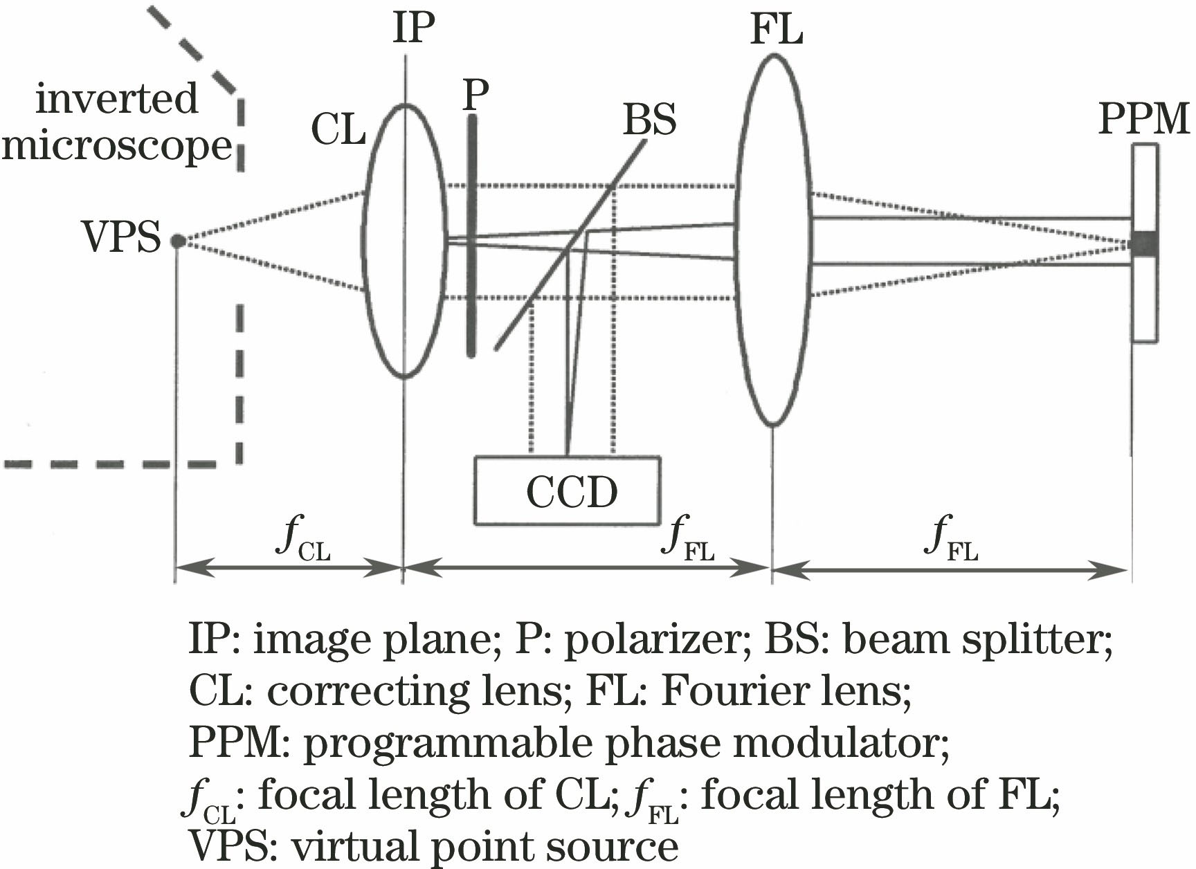 Basic light path of Fourier phase microscopy[8]