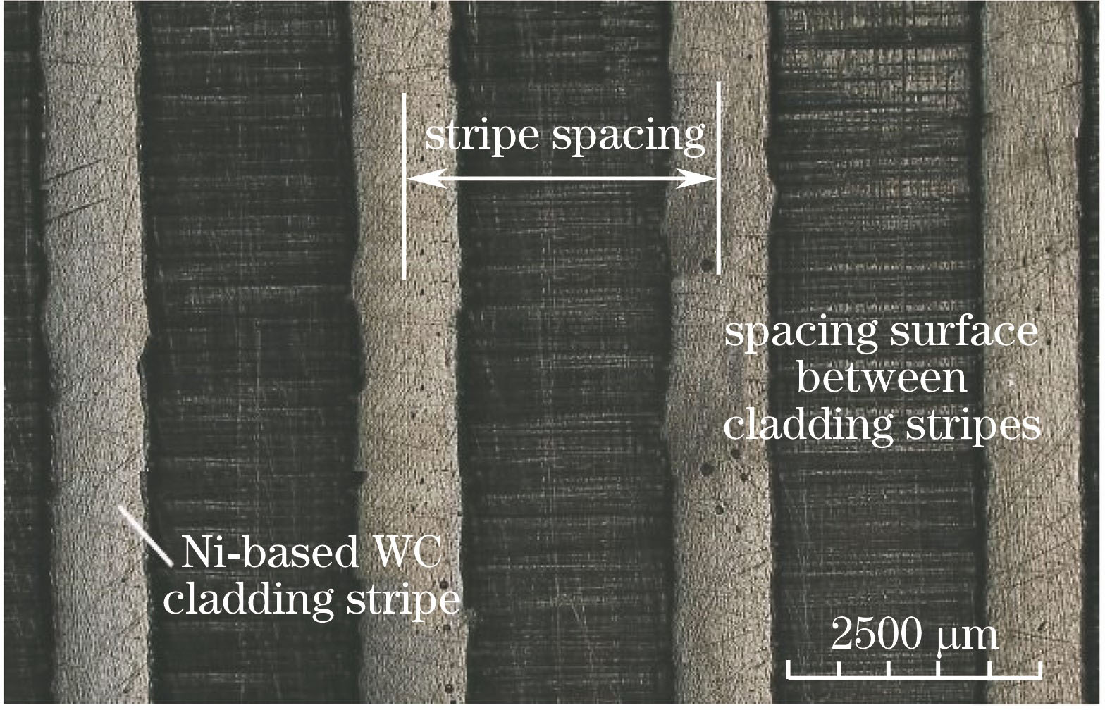 Specimen with Ni-based WC cladding stripes