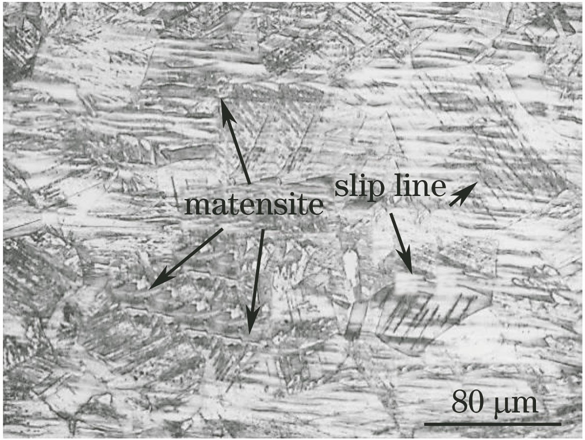 Metallographic structure of SUS301L-MT stainless steel