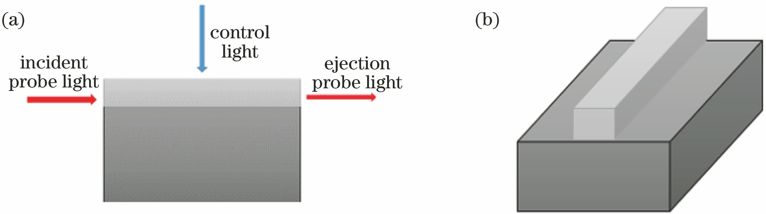 Design schematic of optically controlled optical switch. (a) Two-dimensional diagram; (b) three-dimensional diagram