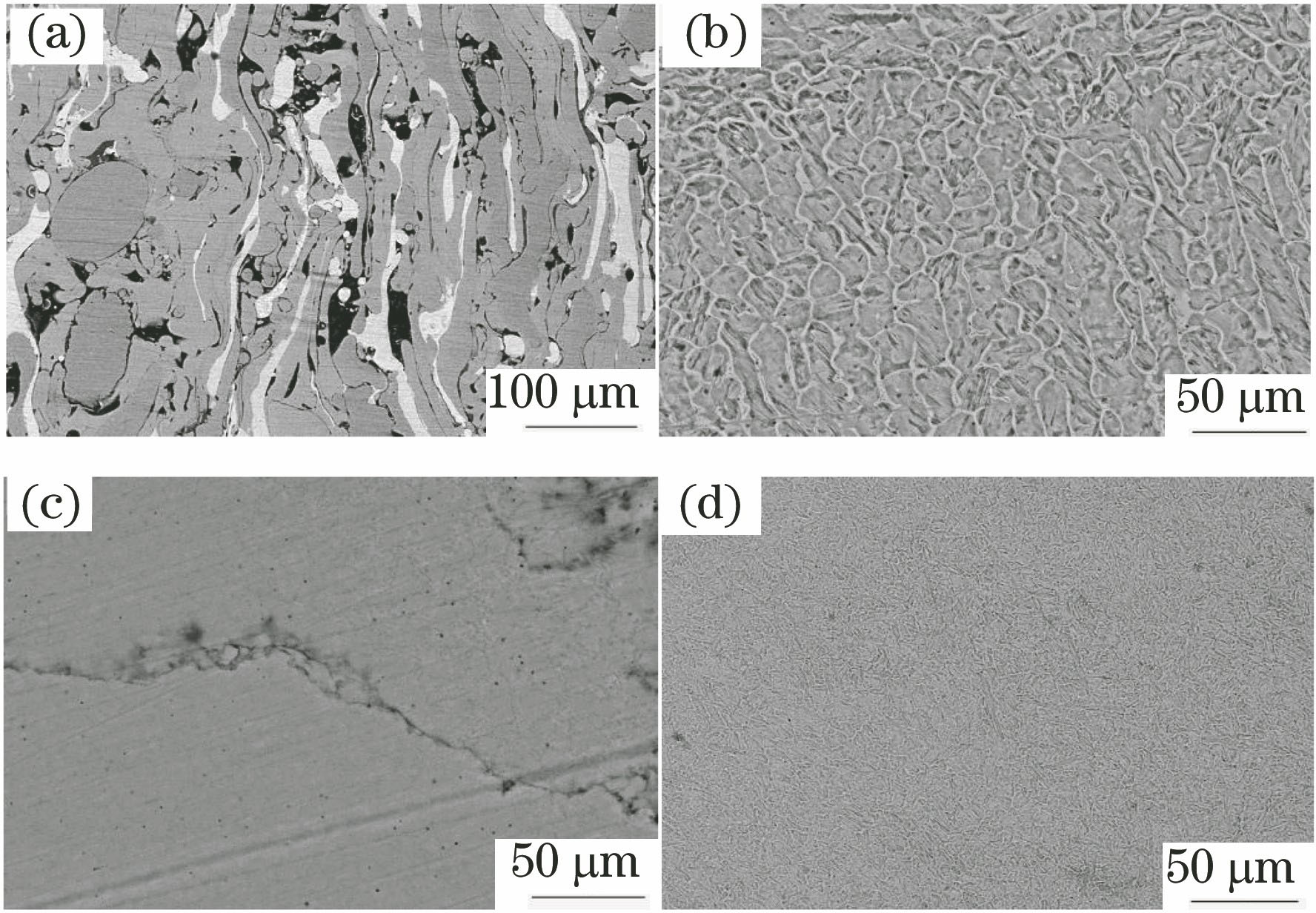 Micro-morphologies of remelted layers under different laser remelting trajectories. (a) Dotted; (b) rectangular; (c) parallel; (d) circular
