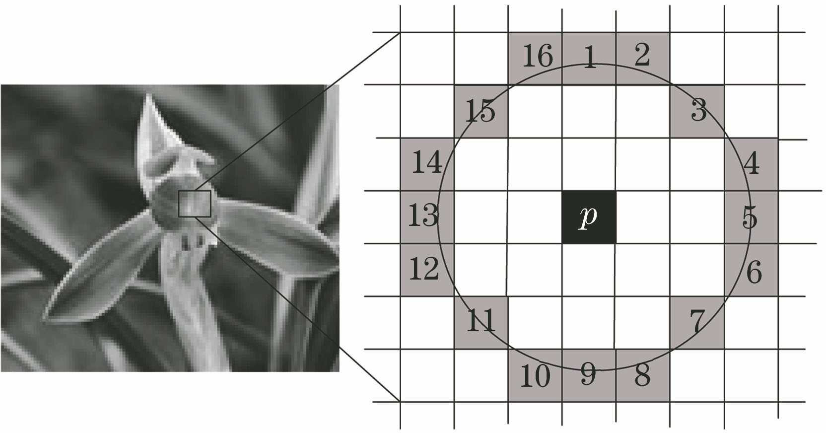 Matching effects of ORB algorithm under different illuminations and scales. (a)(b) Input images under different illuminations; (c) matching effect under illumination changes; (d)(e) input images under different scales; (f) matching effect under scale changes