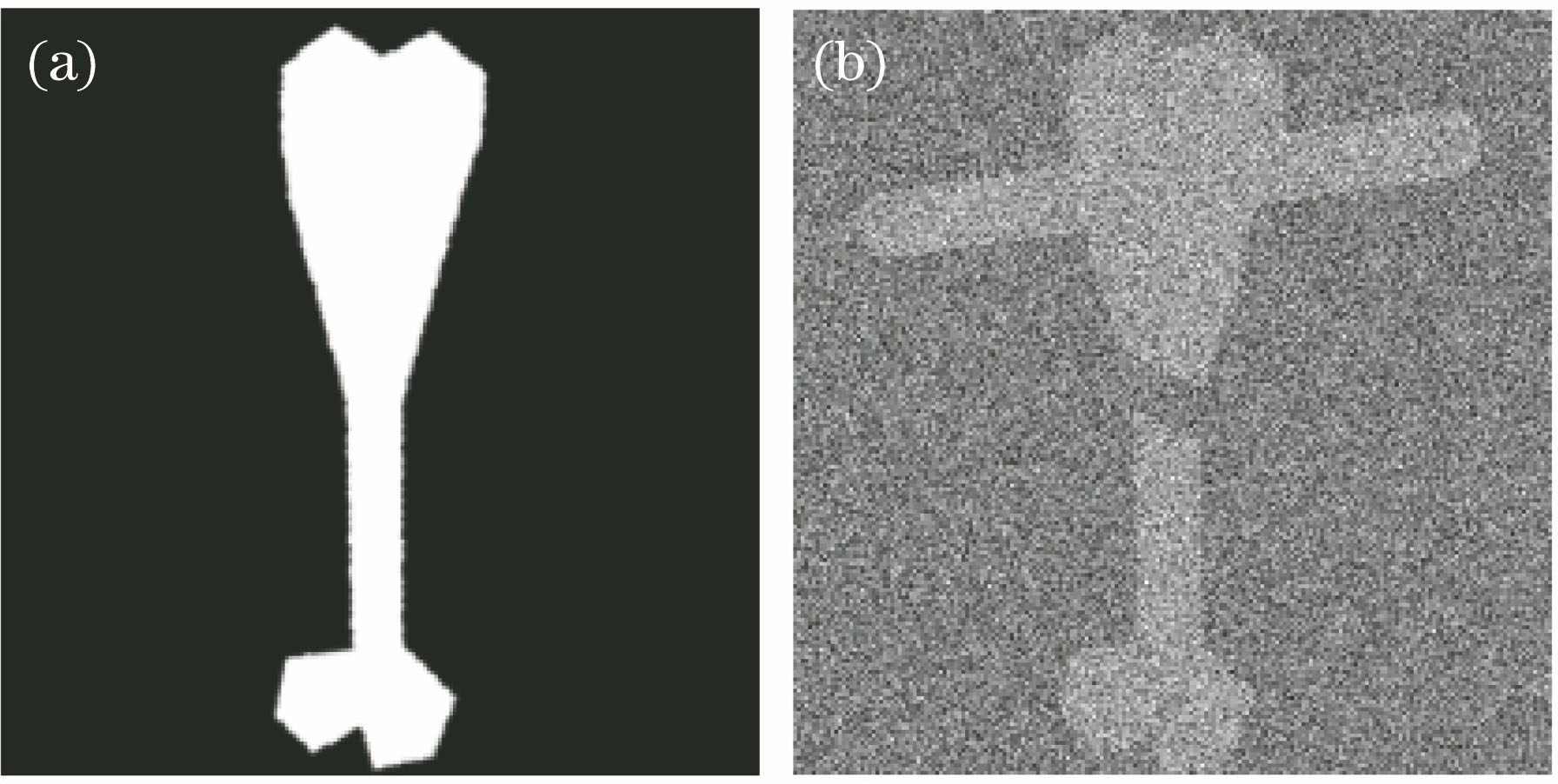 Original figure of bone. (a) Normalized original figure; (b) figure with Gaussian white noise and occlusion