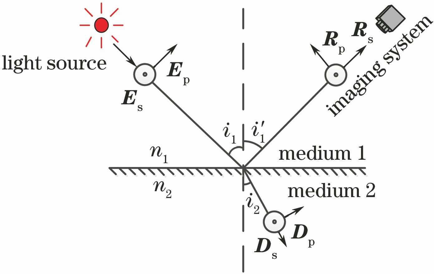 Model of reflected light polarization characteristics