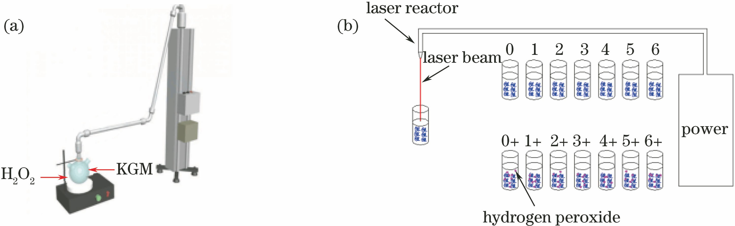 Schematics of laser processing. (a) Diagram of equipment operating; (b) diagram of sample processing