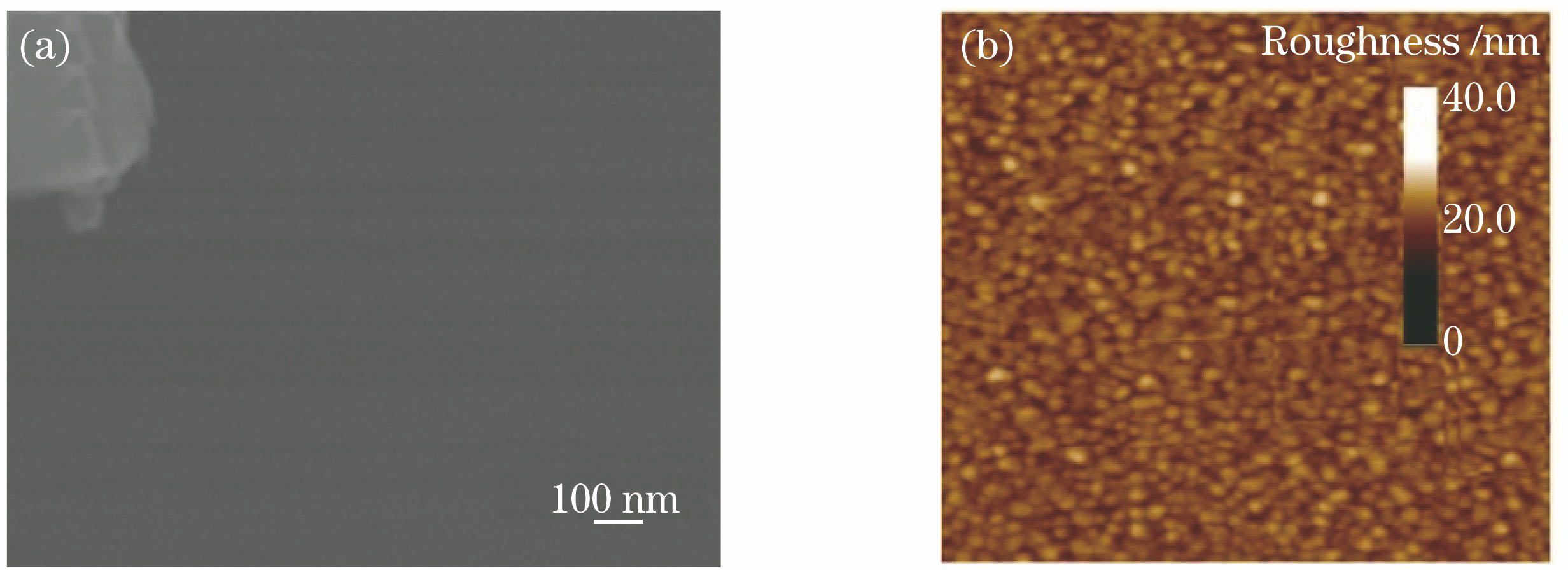 Eu-YSZ thin film surface. (a) SEM image; (b) AFM image