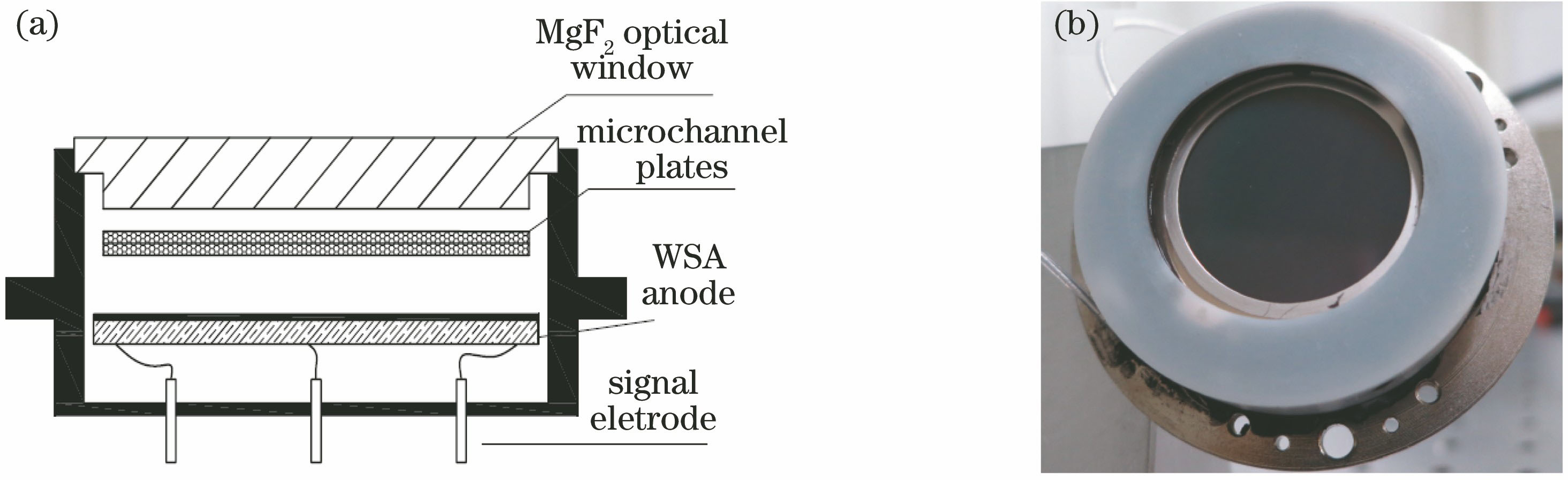 (a) Structure diagram and (b) actual image of photon counting imaging detector