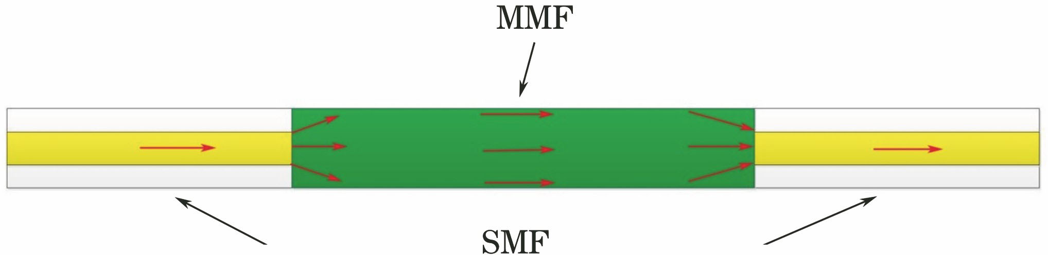Schematic of the SMS optical fiber structure