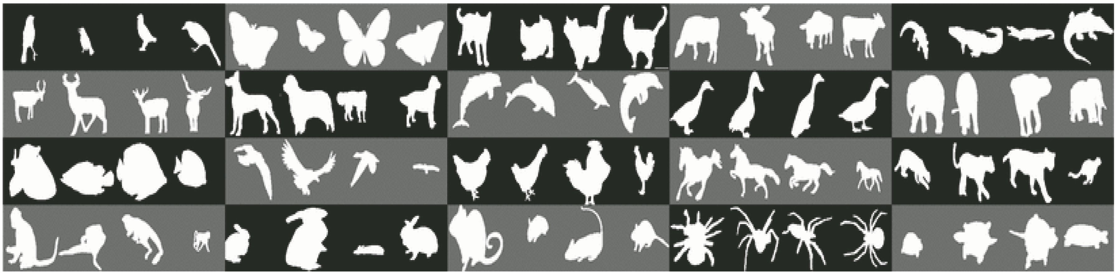 Examples of Animal dataset